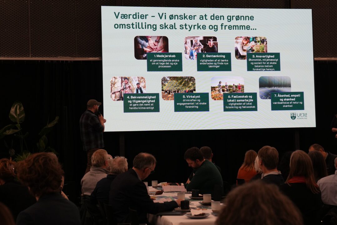 Vejle borgerpanel om klimahandling